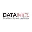 Datamtx Llc