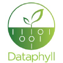 Dataphyll