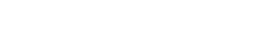 DataRays Studios