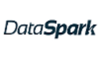 DataSpark Analytics