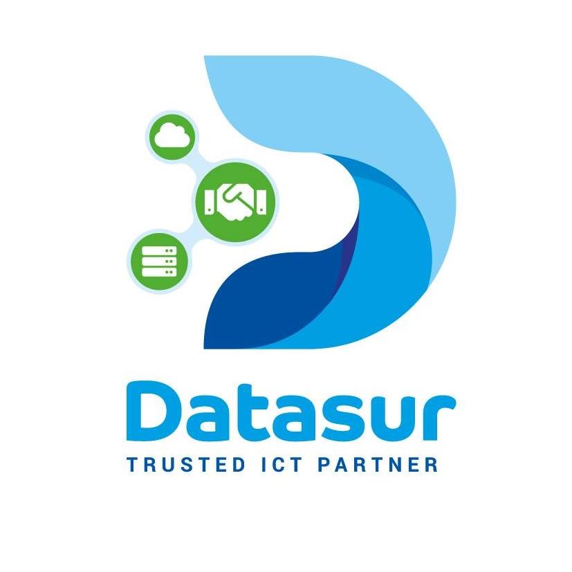 Datasur companies