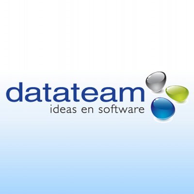 Datateam Consulting