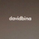 David Bina