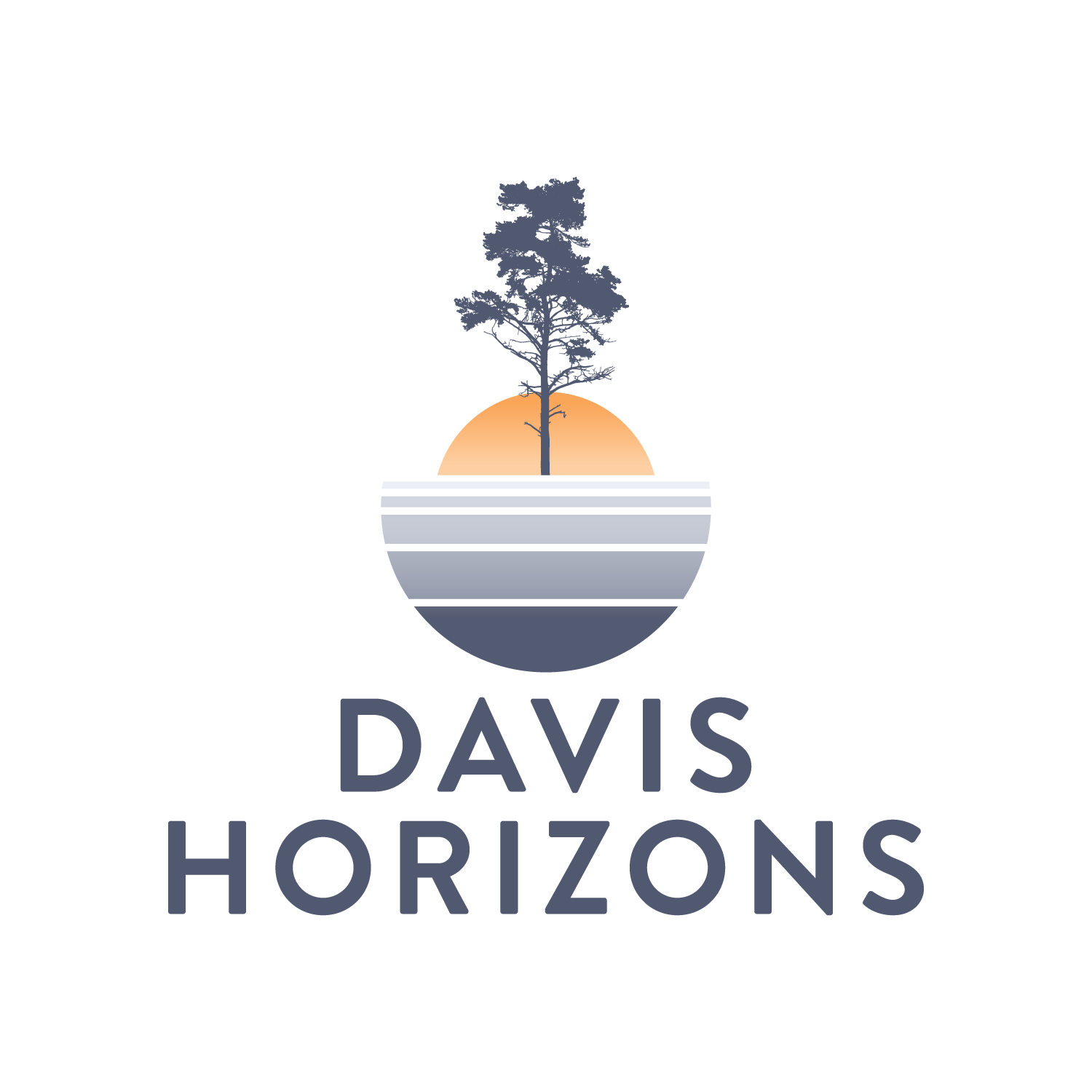 Davis Horizons