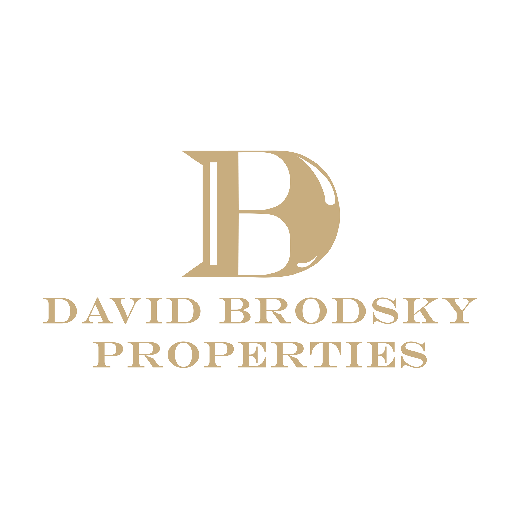 David Brodsky Properties