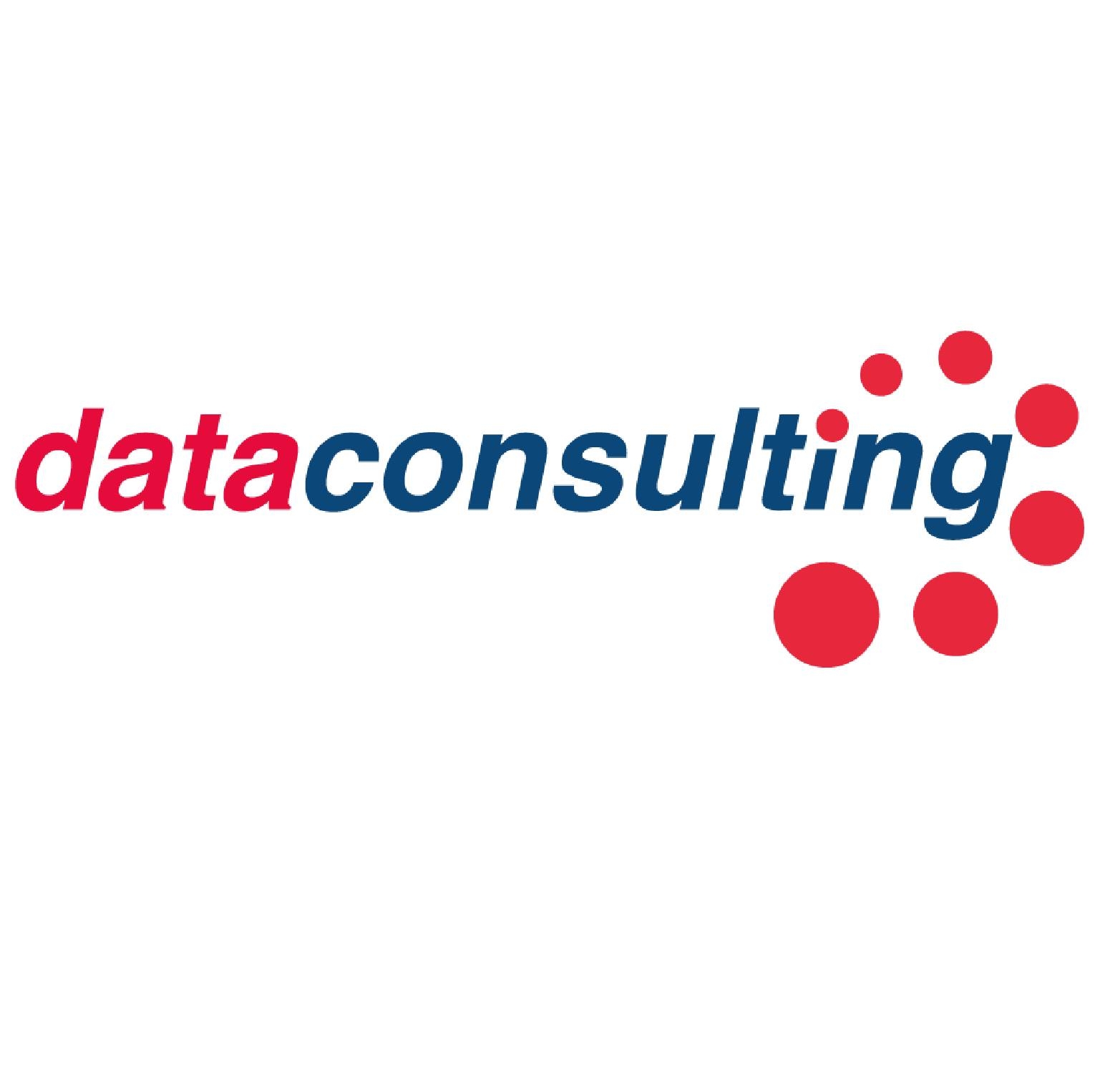 Data Consulting Eirl