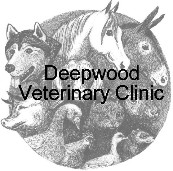 Deepwood Veterinary Clinic