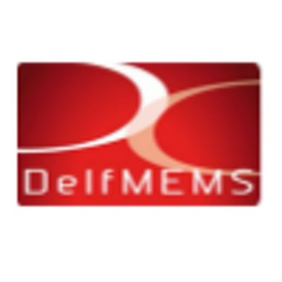 DelfMEMS