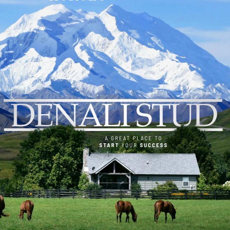 Denali Stud