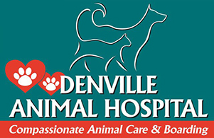 Denville Animal Hospital