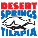 Desert Springs Tilapia