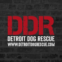 Detroit Dog Rescue