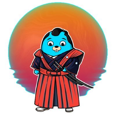 DevSamurai