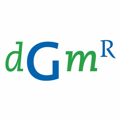 DGMR Software