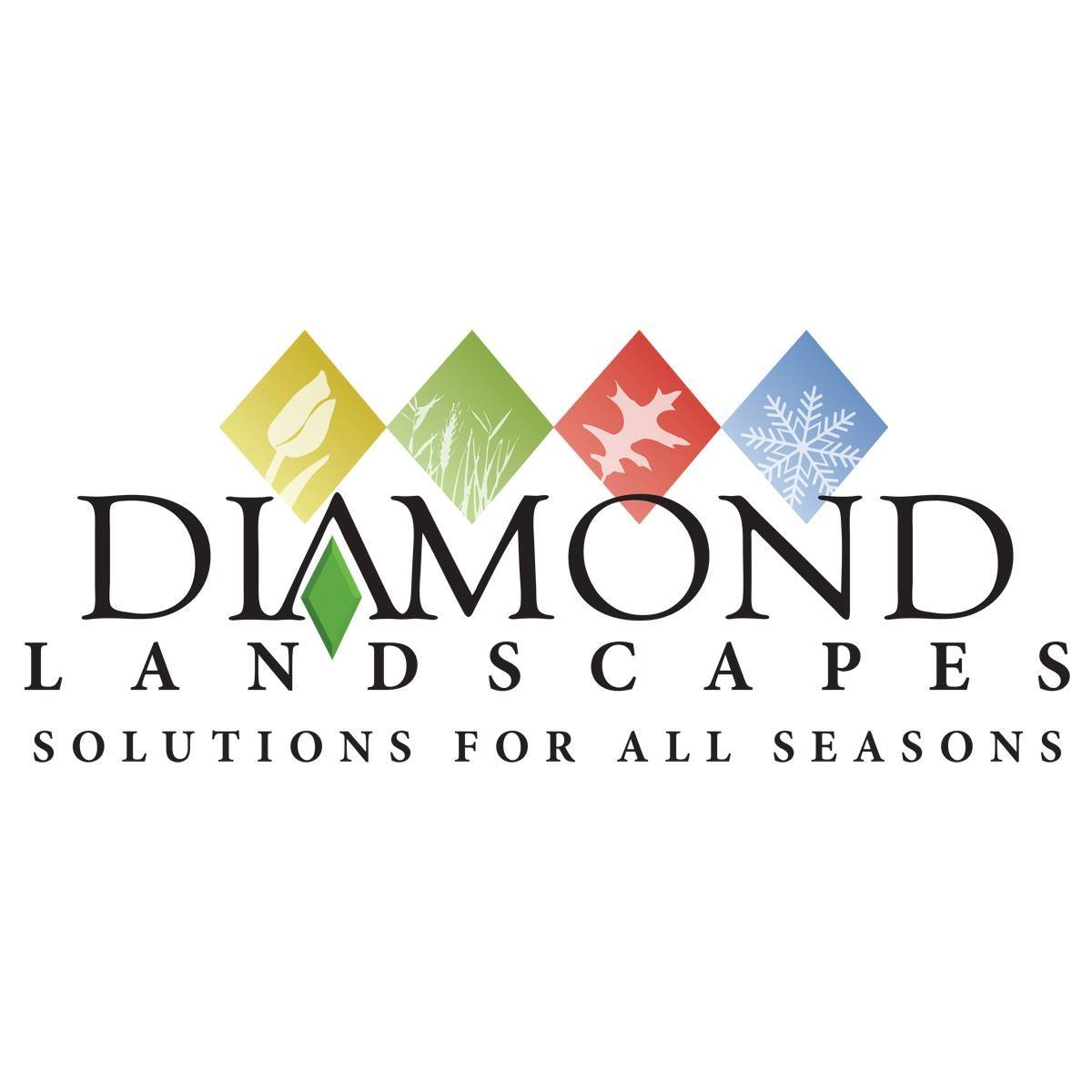 Diamond Landscapes