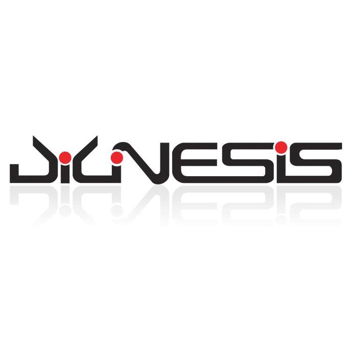 Diginesis S.R.L