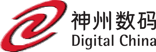 Digital China Group