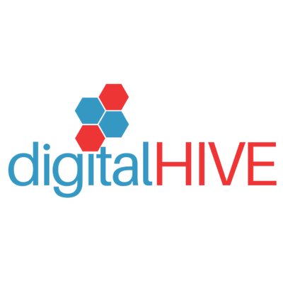 Digital Hive  Digital Marketing Agency In India