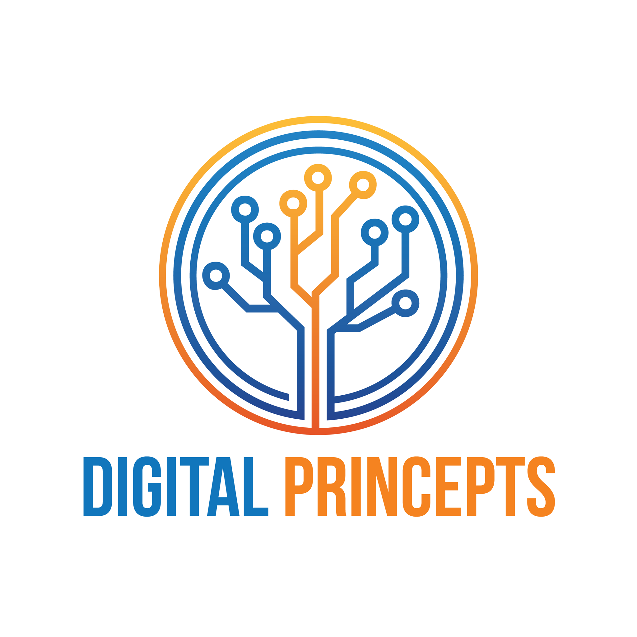 Digital Princepts