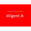 Diligent Consulting Group