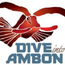 Dive Into Ambon