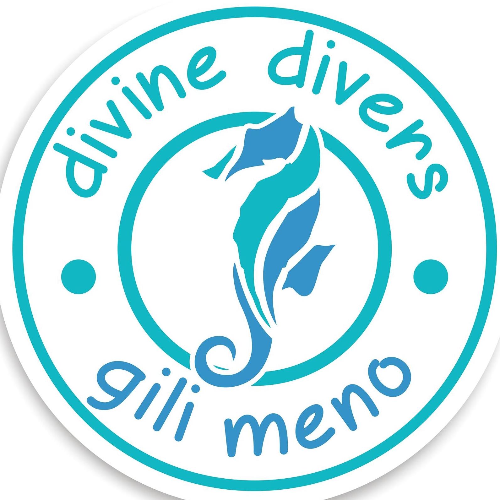 DIVINE DIVERS. Built