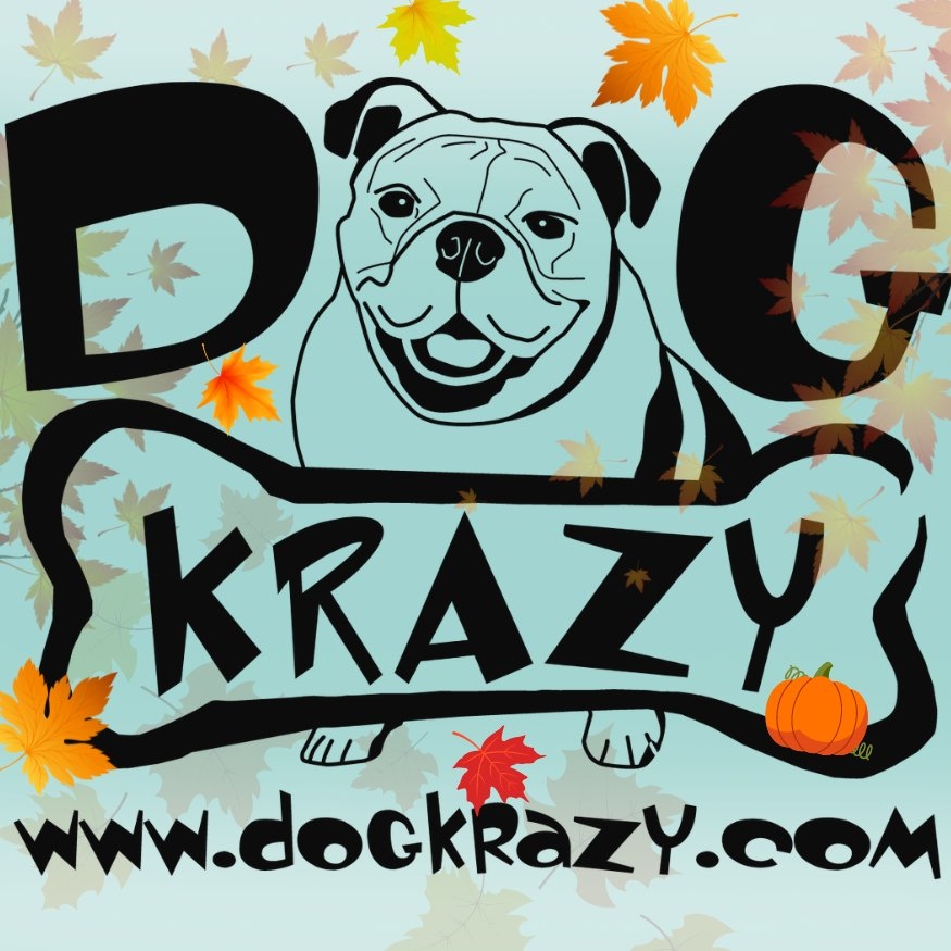 Dog Krazy