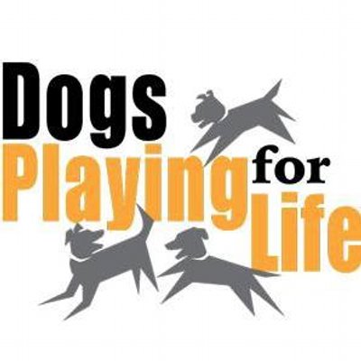 Dogs Playing for Life