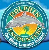 Dolphin Encounters