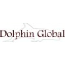 Dolphin Global Technology Solutions