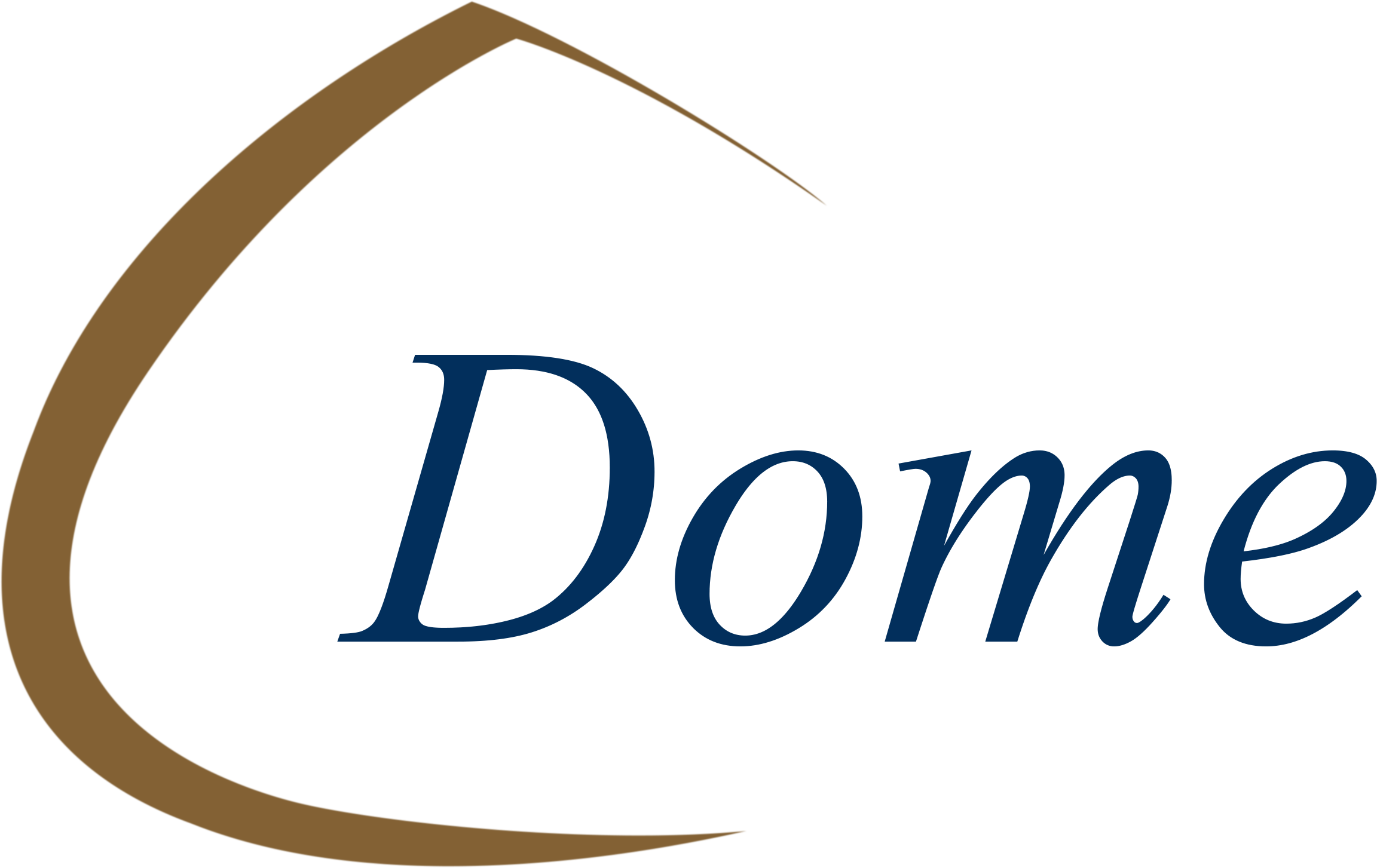 Dome International