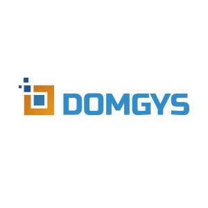 Domgys India Services Pvt. Ltd.