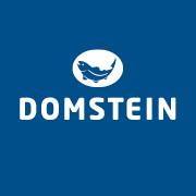 Domstein