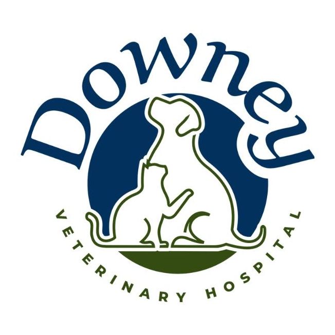 Downey Veterinary Hospital