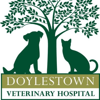 Doylestown Veterinary Hospital