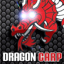 DragonCarpDirect