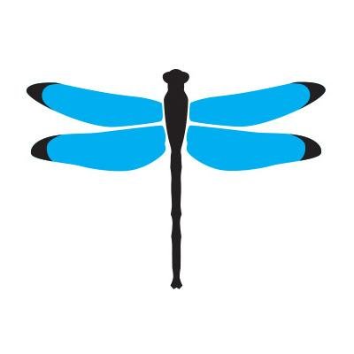 Dragonfly Seo