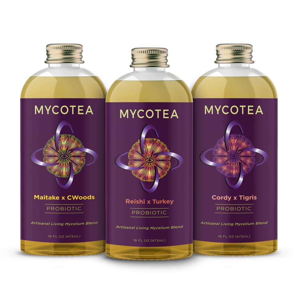 Mycotea