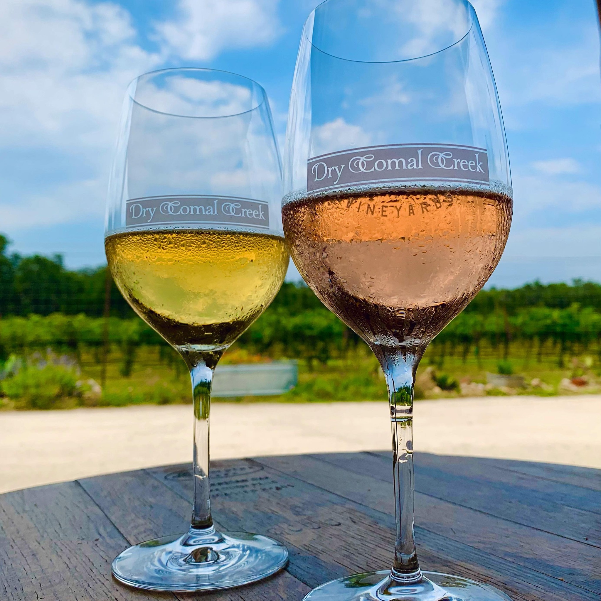 Dry Comal Creek Vineyards