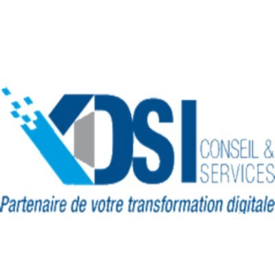 DSI Conseil & Services