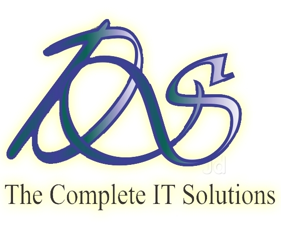 DS Software & Web Solutions Writing