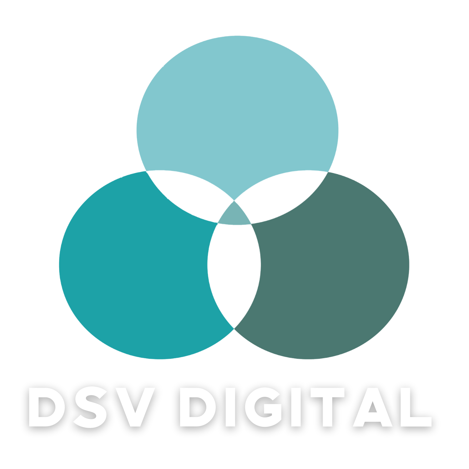 Dsv Digital