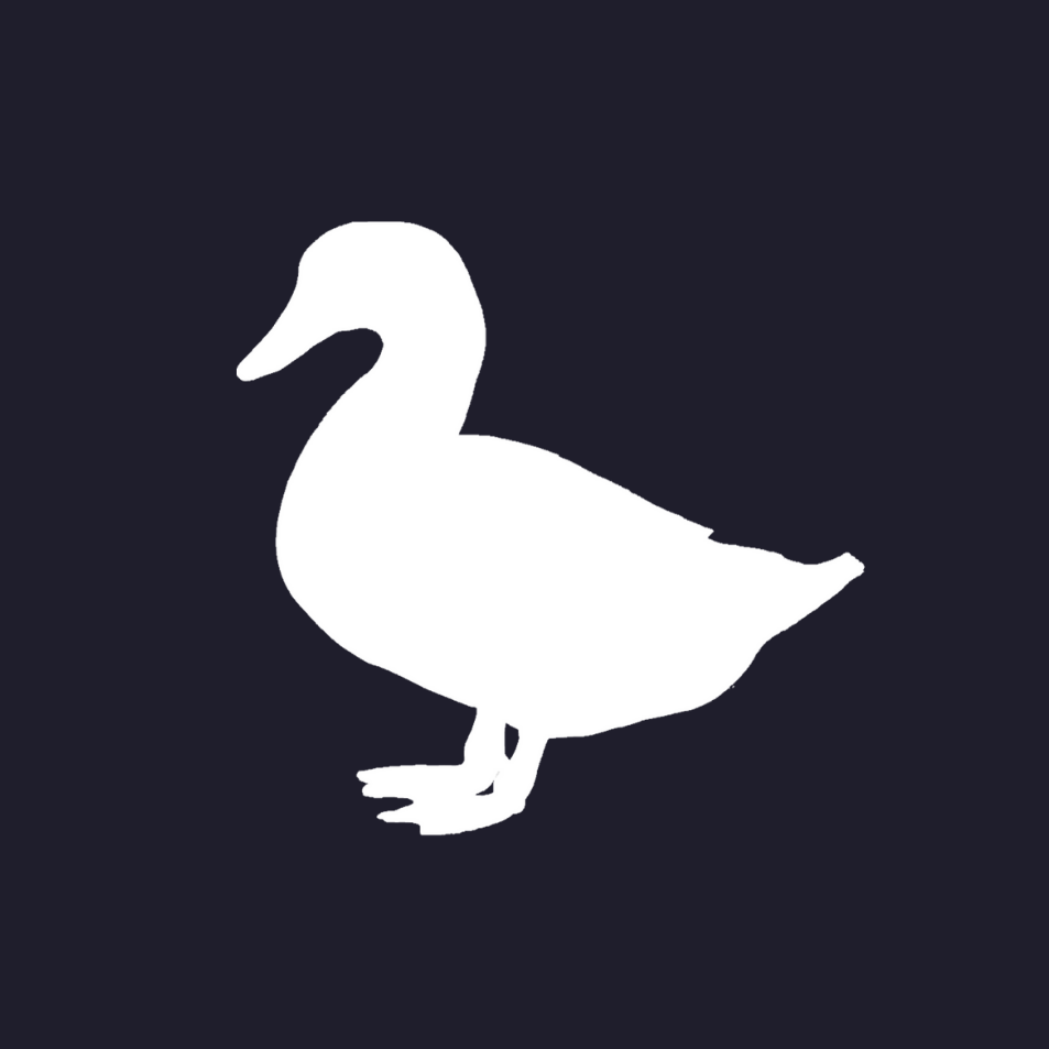 duckinvestments.com