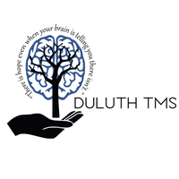 DULUTH TMS LLC DULUTH TMS LLC