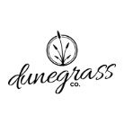 Dunegrass