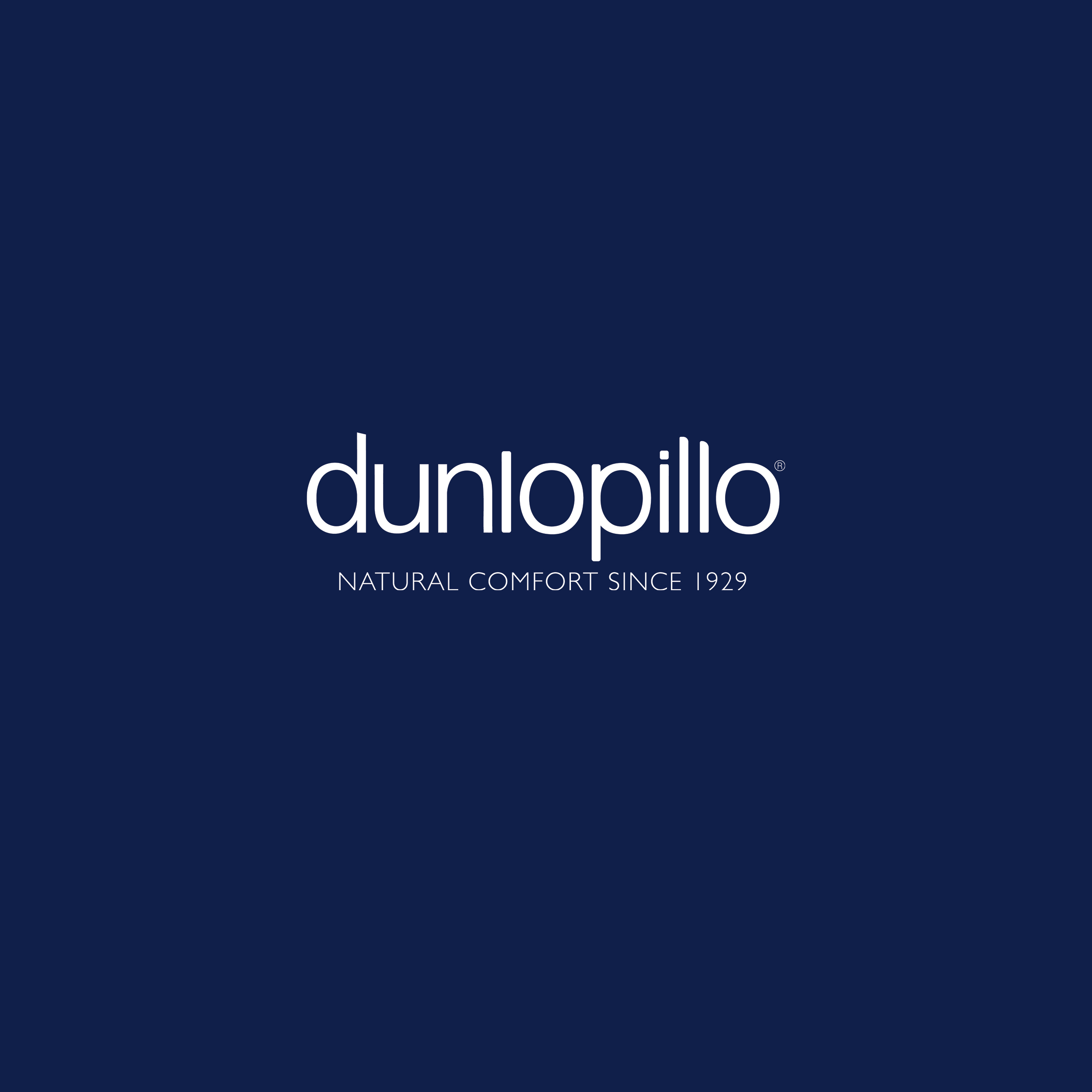 Dunlopillo Distributor