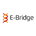 E-Bridge