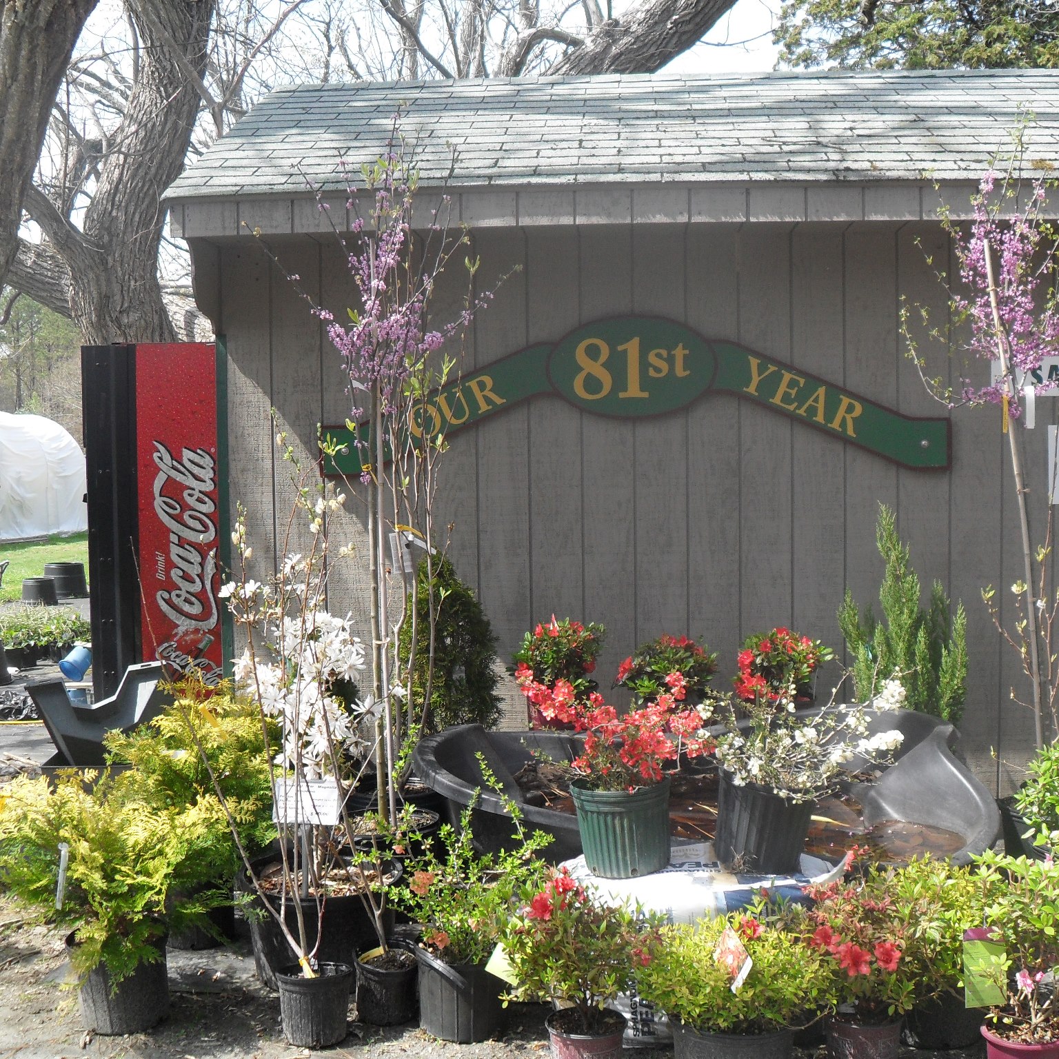 Eastern Shore Nursery