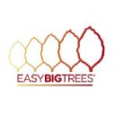 Easy Big Trees