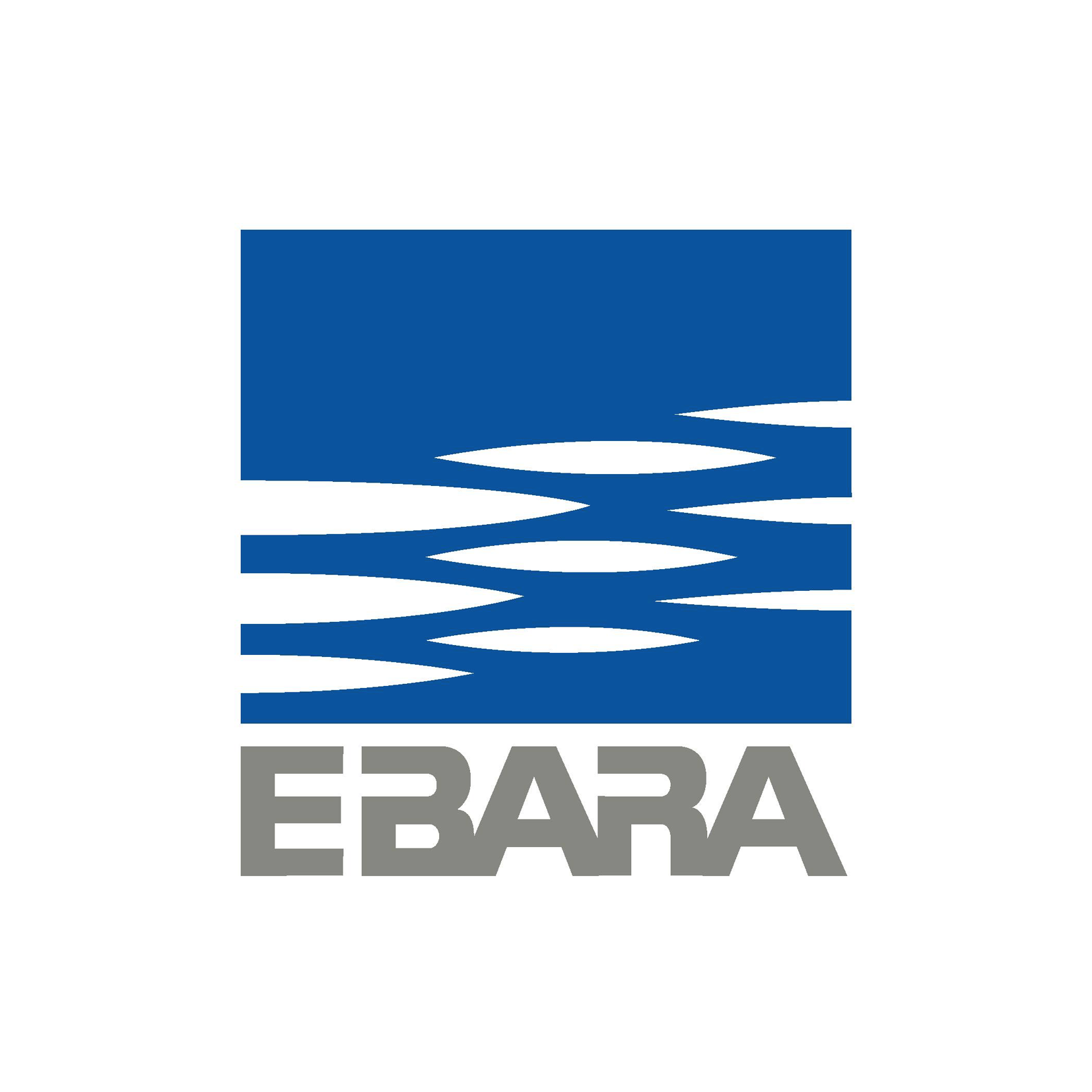 EBARA Pumps Europe S.p.A